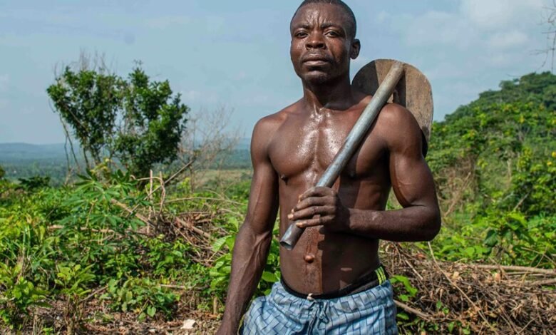 enhance growth with technology